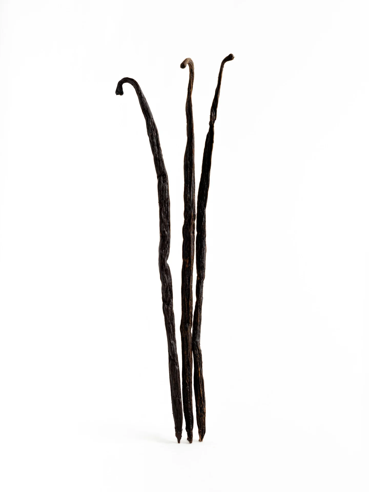 Perfume One Velvet - Image 4